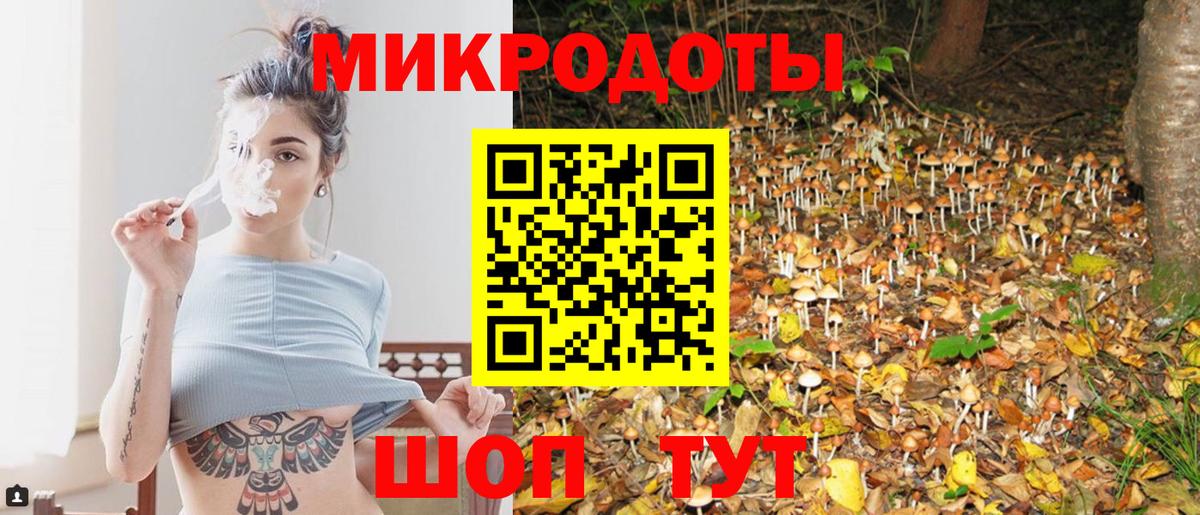 Псилоцибиновые грибы Psilocybine cubensis  Вход с VPN  Первоуральск  Псилоцибиновые грибы Cubensis 
