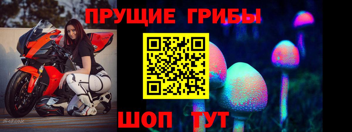 Псилоцибиновые грибы GOLDEN TEACHER Первоуральск